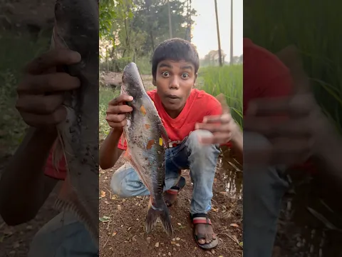 CHOTU CATCH BIGEST FISH #shorts @FACTFIREKING