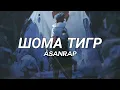 Download Lagu Asanrap - Шома тигр (Slowed \u0026 Reverb)