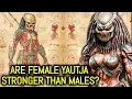 Anatomy and Types Of The Female Yautja Hunters: Matriarchs of The Yautja Society!