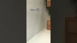 Flying Upside Down Fairies Fairytok Fairy Shorts 