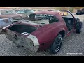 1979 Trans Am 10th Annv Race Car Body sold