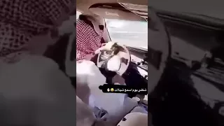شيله ارجع ورا دندنها