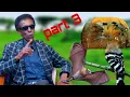 Download Lagu Guuguulihii Fiidmeerta guursaday iyo wixii kala qabsadey\