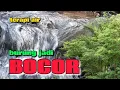 Download Lagu Terapi air untuk burung mogok bunyi agar bocor kembali, terapi burung