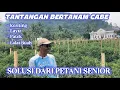 Lagu BINCANG DENGAN PETANI CABE SENIOR : PEMBAHASAN LENGKAP SOLUSI PERMASALAHAN CABE
