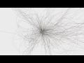 Data Visualization collection blooms