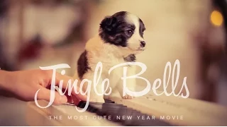 Шпилясті кобзарі Дзвоники дзвенять Jingle Bells українською 