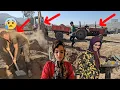 Download Lagu The beginning of our great adventure: the arrival of the tractor and loader on the ground