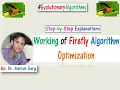 Working of Firefly Algorithm Step-by-Step Explanation