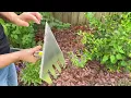 Download Lagu BARAYSTUS 4 in 1 Garden Tool Lengths Adjustable Garden Hoe Stainless Steel Blade Head Razor Sharp Ga