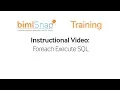 Foreach Execute SQL - bimlsnap Tutorial