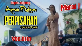 Download Arman Rahman - \ MP3