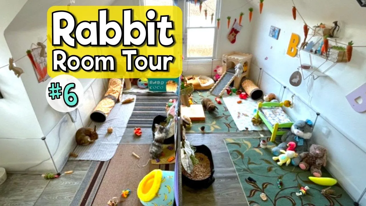 RABBIT ROOM TOUR 6 - Best Bunny Setups!