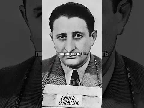 Как страсть к бриллиантам едва не лишила Софи Лорен сына: вся правда о двух нападениях на кинодиву!