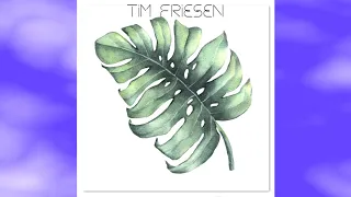 Testify Tim Friesen 