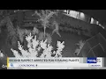 Woman charged with stealing 2K in plants from Fort Walton Beach