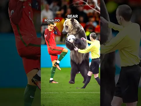Football Animal Moments