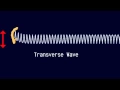 Longitudinal and Transverse Waves
