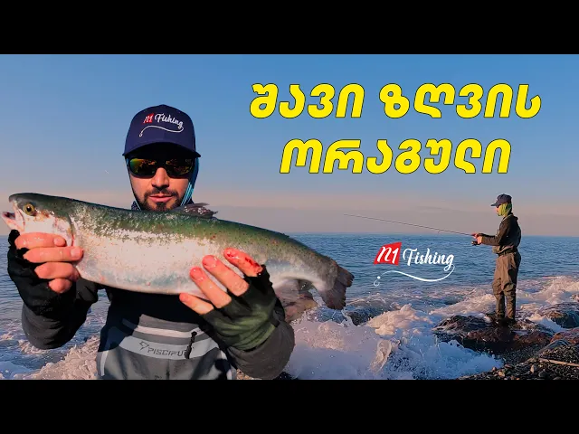 თევზაობა შავი ზღვის ორაგულზე