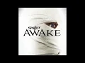 Download Lagu Skillet- Should’ve When You Could’ve (432hz)