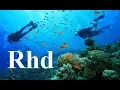 Download Carnivores of the Coral Garden Nature Sea, 2018 HD Documentary. mp4 3gp mp3 videos - waplic