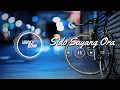 Download Lagu Dj sido sayang ora