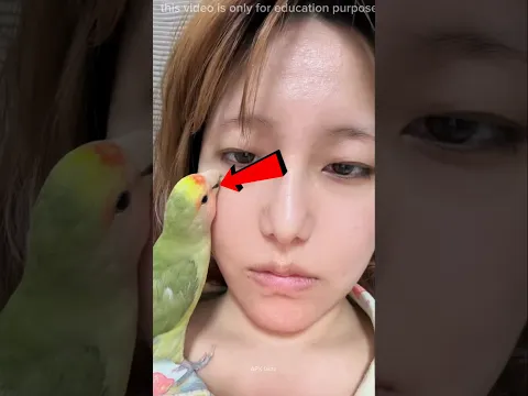 parrot facial,🪩😱#shorts #viralvideo