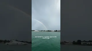 Day 70 living on a sailboat. The cats have only one job..