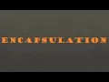 OOP Encapsulation Explained with Examples Day 3