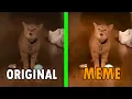 Download Lagu I go meow Original Vs Meme / I go meow cat meme