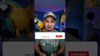 Shorts الدبابير الآسيوية ظهرت في أمريكا من جديد 