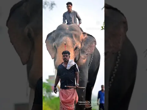 geethanjily parthasardhi 👑 i