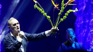 Morrissey - 25