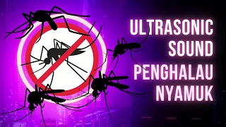 Download Sound Ultrasonik Pengusir Nyamuk||Mosquito Repellent - 100% Berkesan MP3