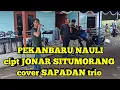Download Lagu PEKANBARU NAULI ‼️ CIPT JONAR SITUMORANG cover SAPADAN TRIO