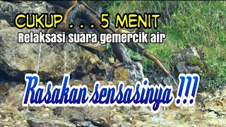 5 menit relaksasi suara air gemercik untuk terapi tidur dan terapi burung kicau