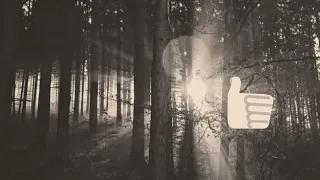 يا منزل الايات والفرقان 