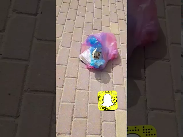 ⁣لن ترمي بقايا الخبز بعد اليومl  الشيخ عيسى الحبارة