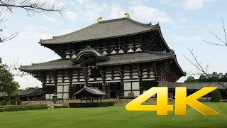 Todai-Ji - Nara - 東大寺 - 4K Ultra HD