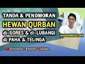Download Lagu EARTAG TELINGA HEWAN \u0026 PENOMORAN DI PAHA HEWAN , HEWAN YANG DI TINDIK BOLEHKAN UNTUK KURBAN , FIQIH