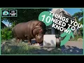 Planet Zoo 10 Things I Wish I Knew Sooner