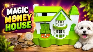 Coin Watch the Puppy Steal the Coins! 😍  House Mystery! Tiny  Puppy Steal the Coins!  🔴 LIVE