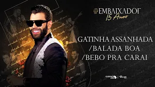 gusttavo lima gatinha assanhada balada boa bebo pra carai embaixador15anos