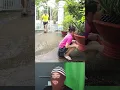 Download Lagu Funny Meme 249#funny#tobrut#shorts#viral
