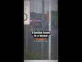 6 Found Dead in Texas Boxcar