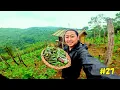 Download Lagu Growing My Own Food and Living a Self-Sufficient Life!
