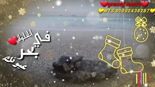 نصيبى وقسمتى الحلوة ونور عينى حالة واتس رومانسي 