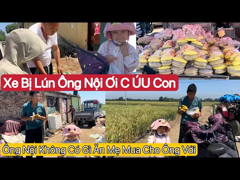 Download MP3 #545] Bé Heo Khóc Kêu Ông Nội Cứu Con.Lúa Sắp Chín Ông Nội Bận Biệu.Mẹ Ơi Mua Gì Cho Ông Bà Nội Ăn