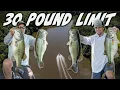 This Little-Known River in Eastern NC Holds GIANT BASS