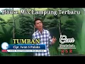 Download Lagu House mix Lampung 2022 TUMBAN Cipt. Iwan S pulaka/Cover Rizal Pulaka